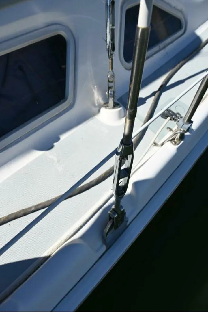 Slide: The Image of DSC_2445 - 5784094