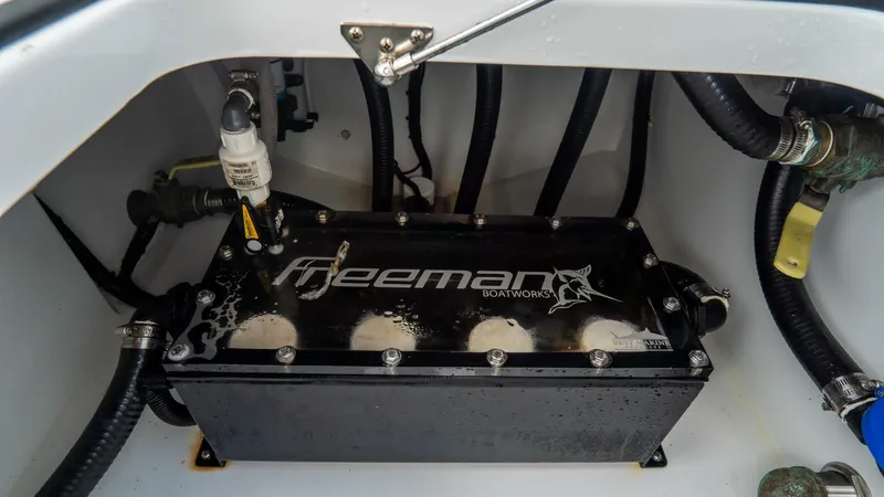 Slide: The Image of Freeman 38 2024 - 5787044