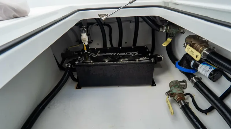 Slide: The Image of Freeman 38 2024 - 5787046