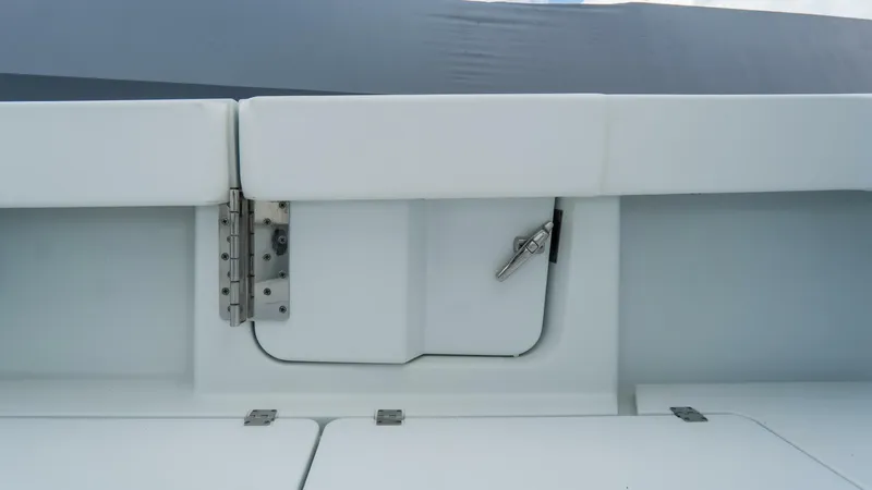 Slide: The Image of Freeman 38 2024 - 5787047