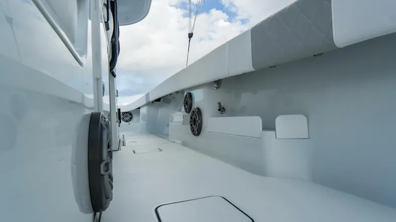 Slide: The Image of Freeman 38 2024 - 5787053