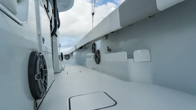 Slide: The Image of Freeman 38 2024 - 5787055