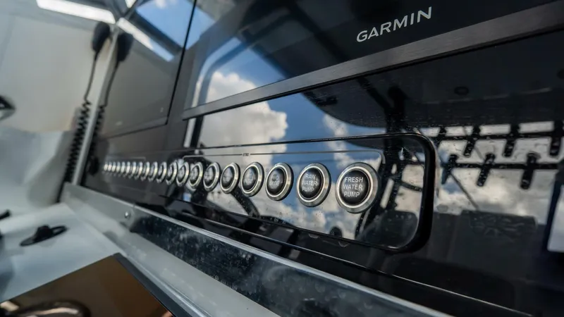 Slide: The Image of Freeman 38 2024 - 5787063