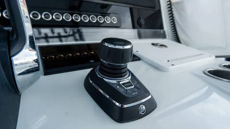 Slide: The Image of Freeman 38 2024 - 5787065