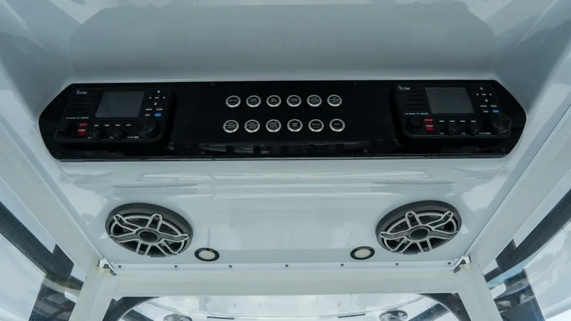 Slide: The Image of Freeman 38 2024 - 5787068