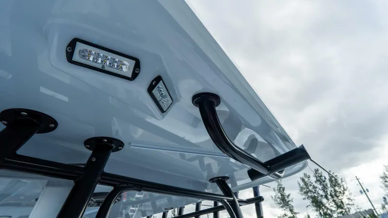 Slide: The Image of Freeman 38 2024 - 5787074