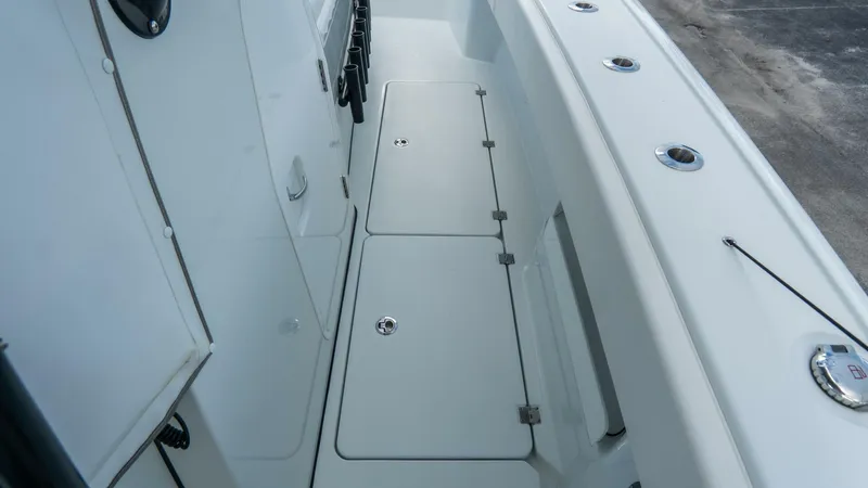 Slide: The Image of Freeman 38 2024 - 5787083