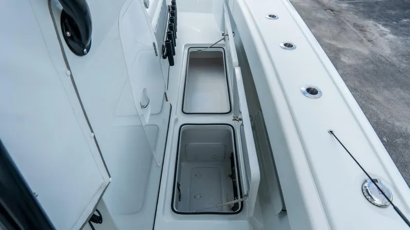 Slide: The Image of Freeman 38 2024 - 5787085