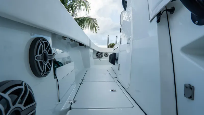 Slide: The Image of Freeman 38 2024 - 5787089