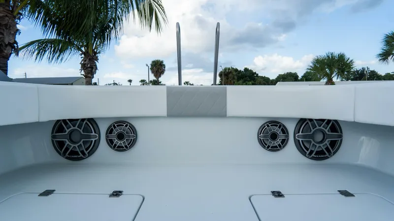 Slide: The Image of Freeman 38 2024 - 5787092