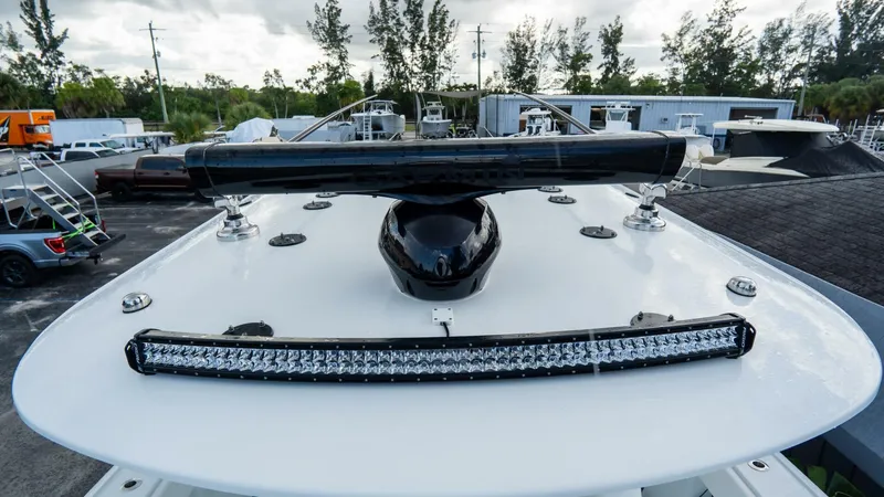 Slide: The Image of Freeman 38 2024 - 5787110