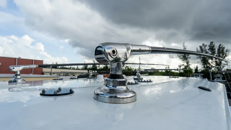 Slide: The Image of Freeman 38 2024 - 5787111