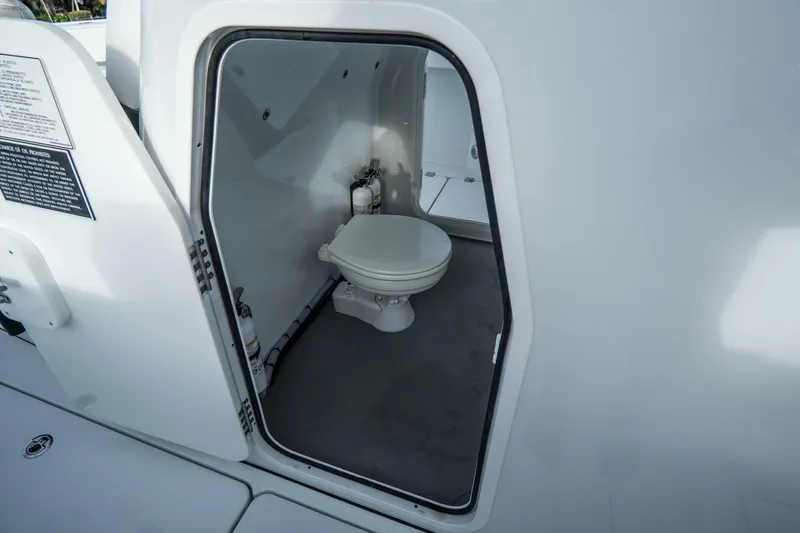 Slide: The Image of Freeman 38 2024 - 5787135