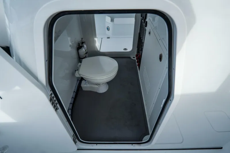 Slide: The Image of Freeman 38 2024 - 5787136