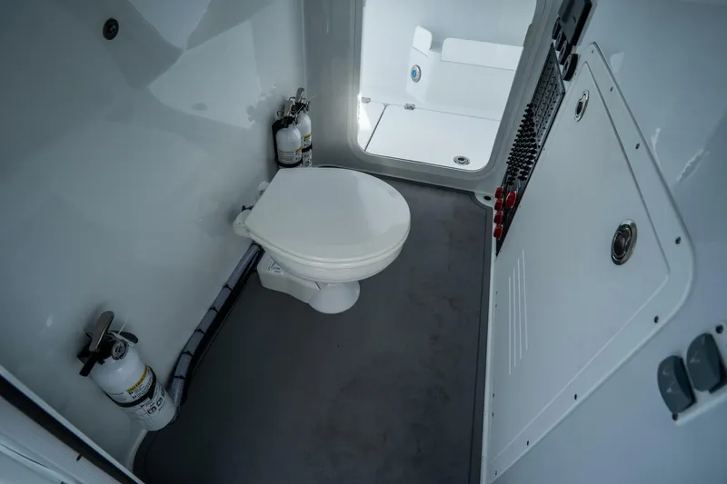 Slide: The Image of Freeman 38 2024 - 5787137