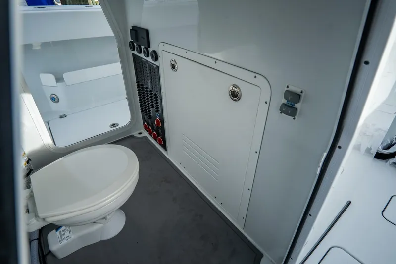 Slide: The Image of Freeman 38 2024 - 5787138