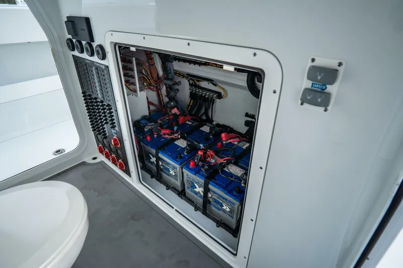 Slide: The Image of Freeman 38 2024 - 5787139