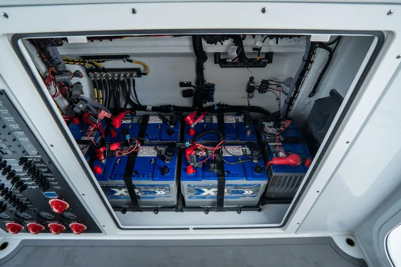 Slide: The Image of Freeman 38 2024 - 5787140