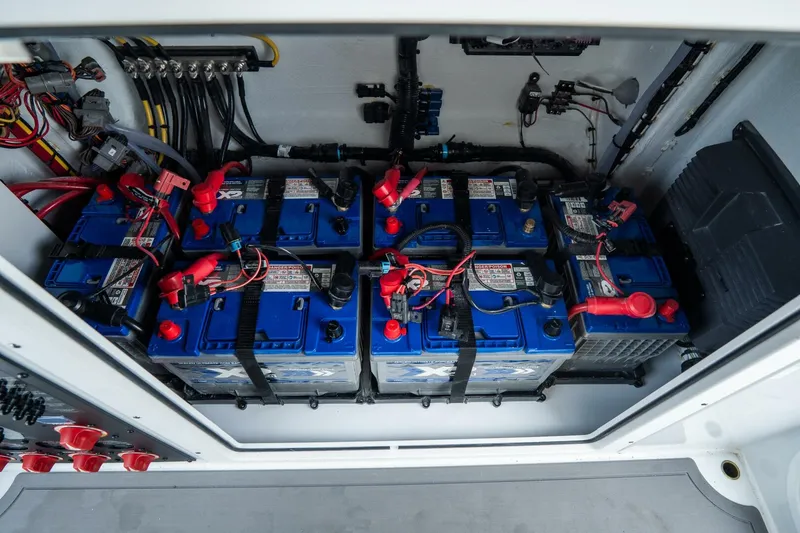 Slide: The Image of Freeman 38 2024 - 5787141