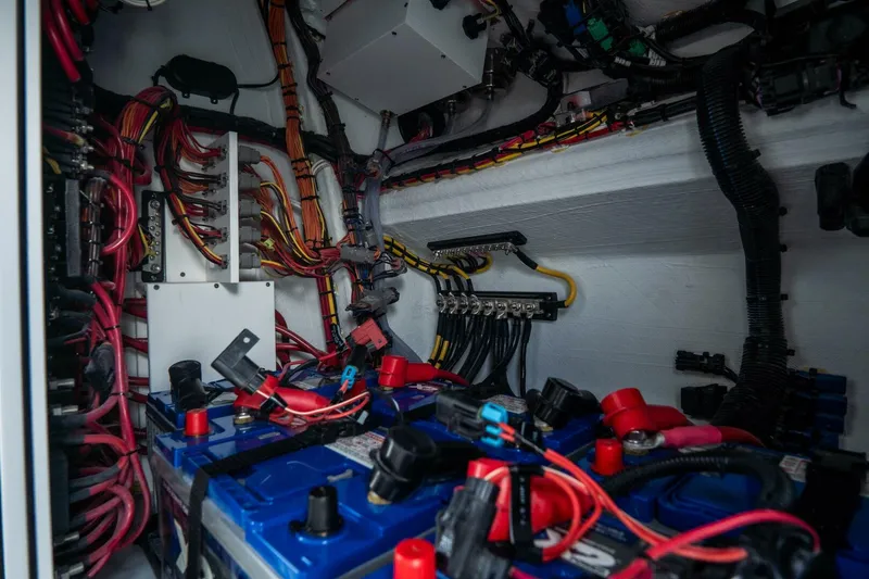 Slide: The Image of Freeman 38 2024 - 5787142