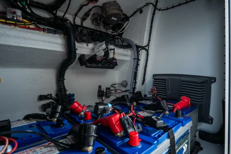 Slide: The Image of Freeman 38 2024 - 5787143