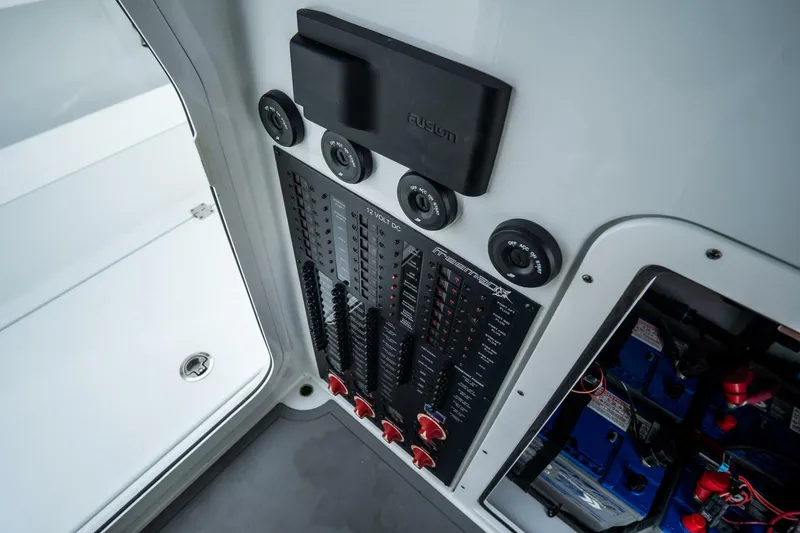 Slide: The Image of Freeman 38 2024 - 5787144