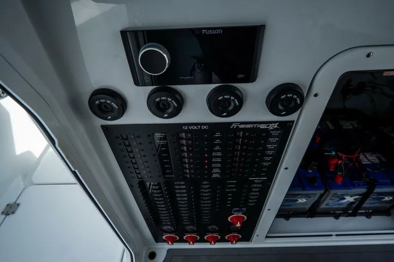 Slide: The Image of Freeman 38 2024 - 5787146