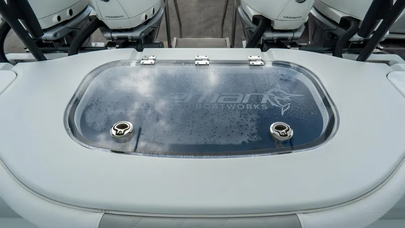 Slide: The Image of Freeman 38 2024 - 5787032