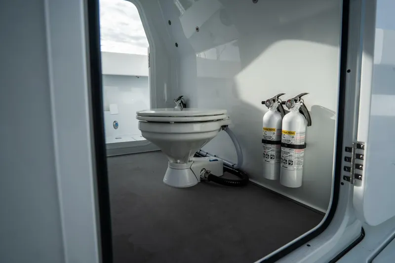 Slide: The Image of Freeman 38 2024 - 5787148