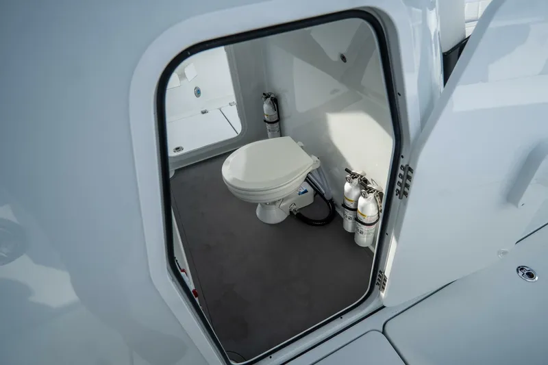 Slide: The Image of Freeman 38 2024 - 5787149