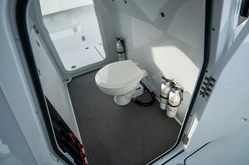 Slide: The Image of Freeman 38 2024 - 5787150