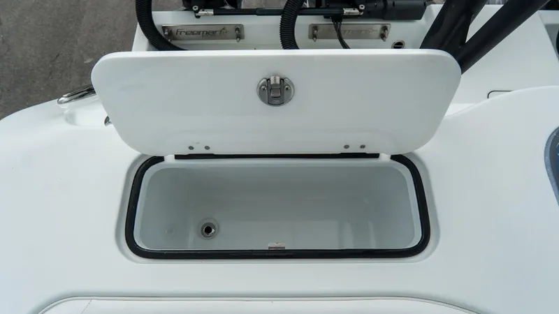 Slide: The Image of Freeman 38 2024 - 5787034