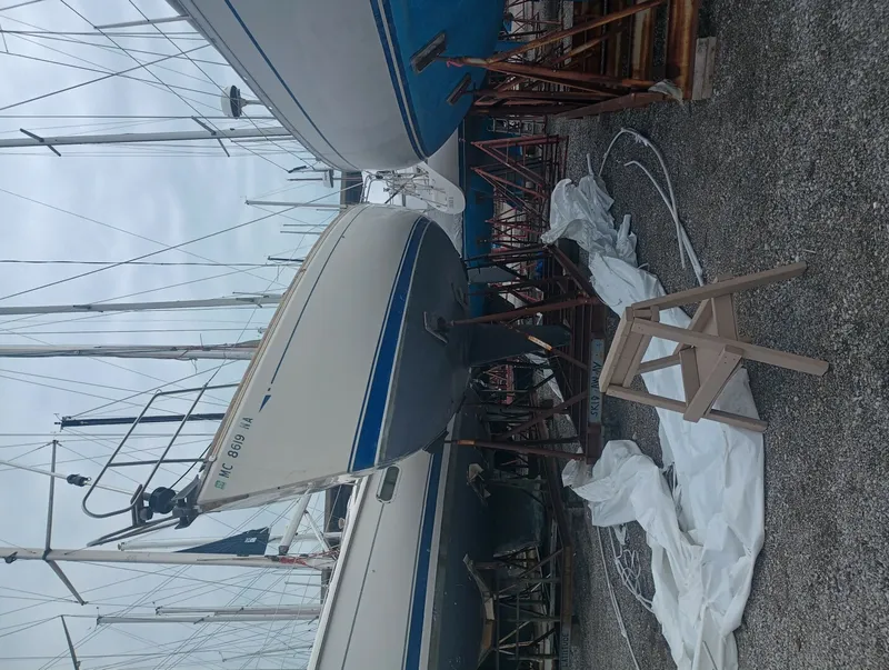 The Image of CAL 33 1986 - 5786891