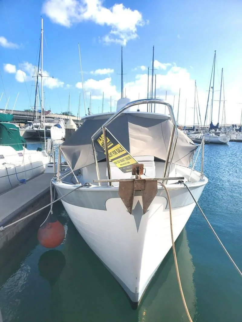 Slide: The Image of Willard Vega  30 Voyager 1973 - 5790003