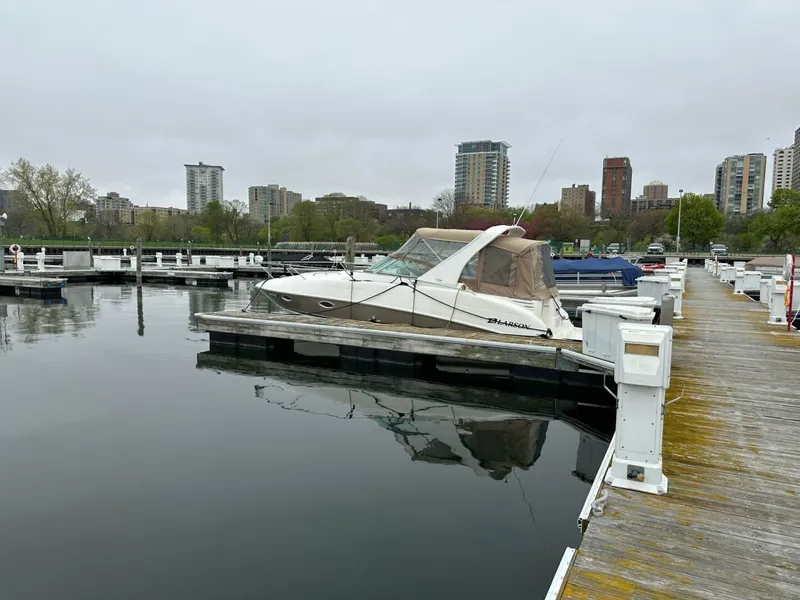 Slide: The Image of Larson Cabrio 274 2006 - 5790322