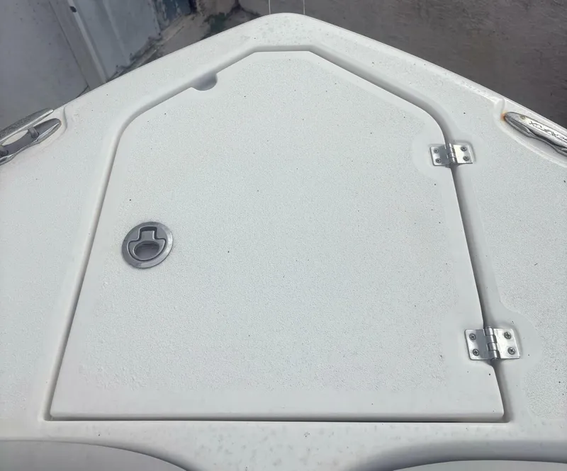 Slide: The Image of Sea Fox 24 2020 - 5802152