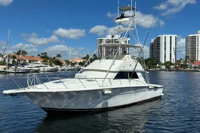 Slide: The Image of Tiara 43 1993 - 5794882