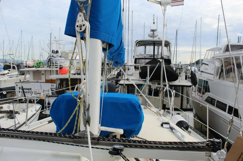 Slide: The Image of Spencer 53 1979 - 5795160