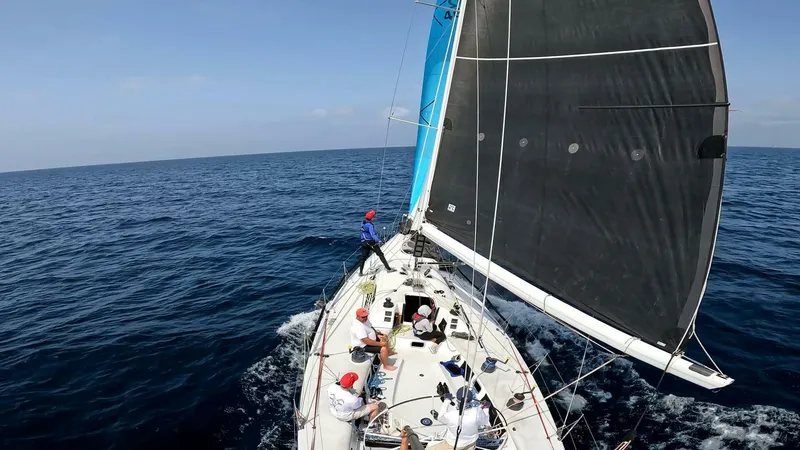 Slide: The Image of Carroll ILC 46 1995 - 5796052