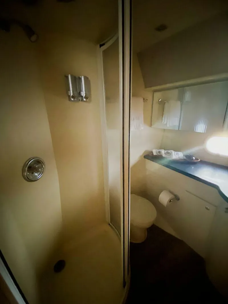 Slide: The Image of Neptunus Flybridge 1997 - 5801996