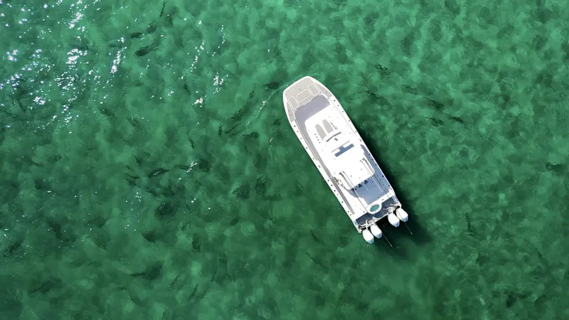 Slide: The Image of Invincible Catamaran 2024 - 5817812