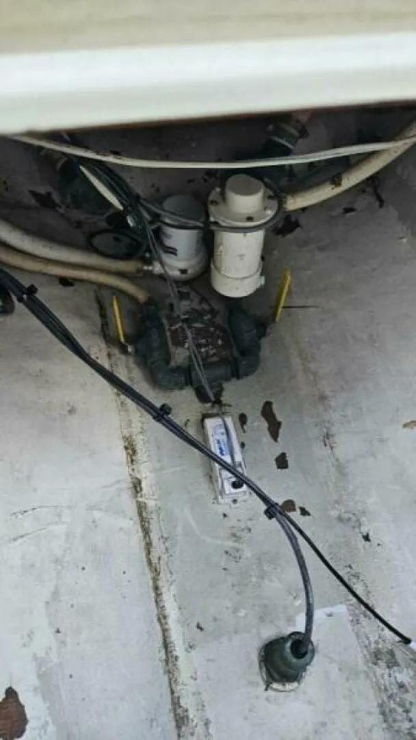 Slide: The Image of Contender 31 2002 - 5804742