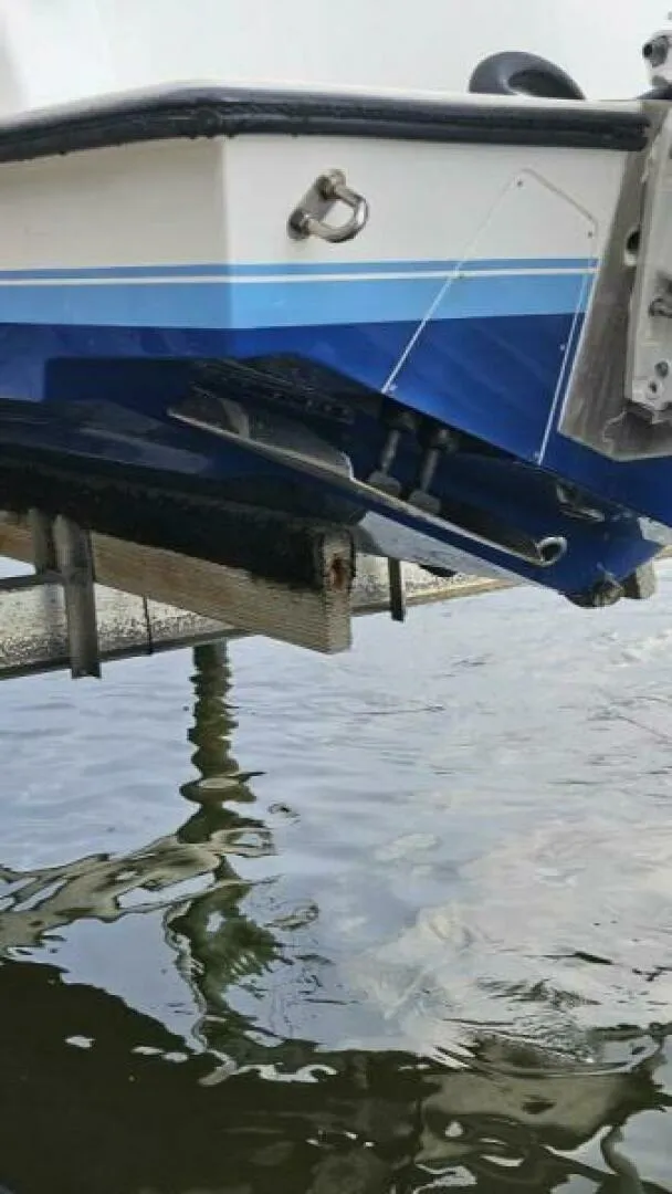 Slide: The Image of Contender 31 2002 - 5804754