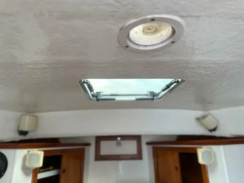 Slide: The Image of Jarvis Newman 32 1975 - 5805967