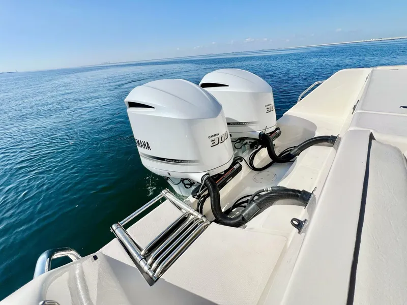 Slide: The Image of Grady-White Canyon 306 2021 - 5812631