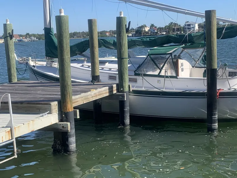 Slide: The Image of Nonsuch Ultra 30 1987 - 5808166