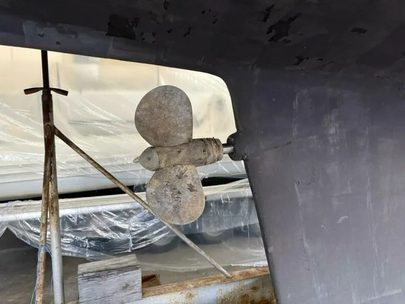 Slide: The Image of Hans Christian 43 Christina 1986 - 5811422