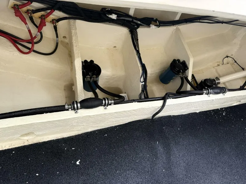 Slide: The Image of Regal 33 OBX 2024 - 5811478