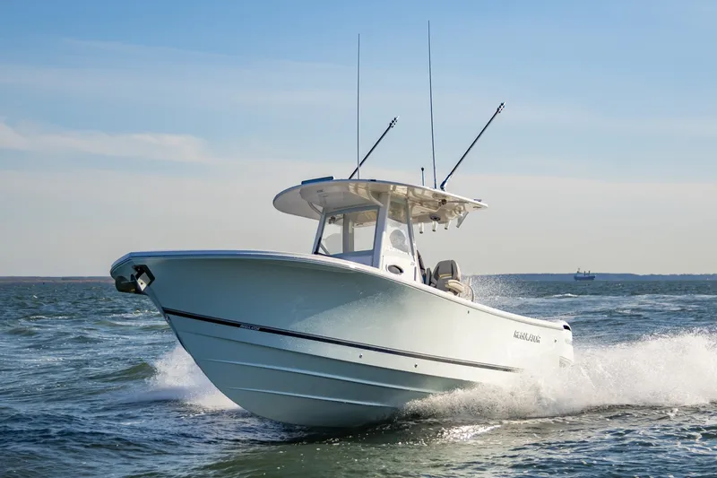 Slide: The Image of 28Regulator2026Hull782_039 - 6017542