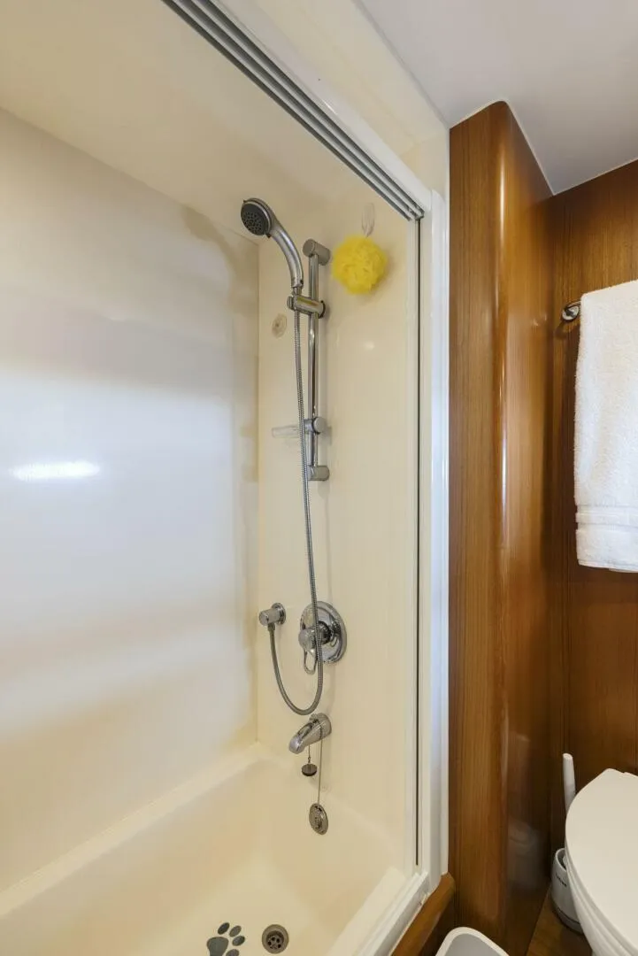 Slide: The Image of 1998 Symbol 558 DOS GATOS 730 - 5812879